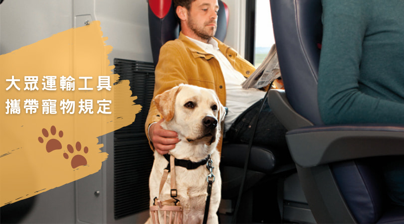 【台鐵 (火車)／捷運／客運寵物規定】搭車可以帶寵物嗎？攻略一次看！