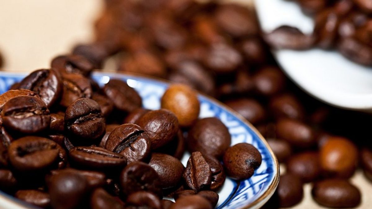 【咖啡豆介紹】咖啡沖泡教學！品種、產區、烘焙酸苦風味大不同