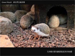 休閒農場優惠門票