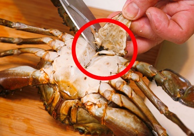 蟹腸