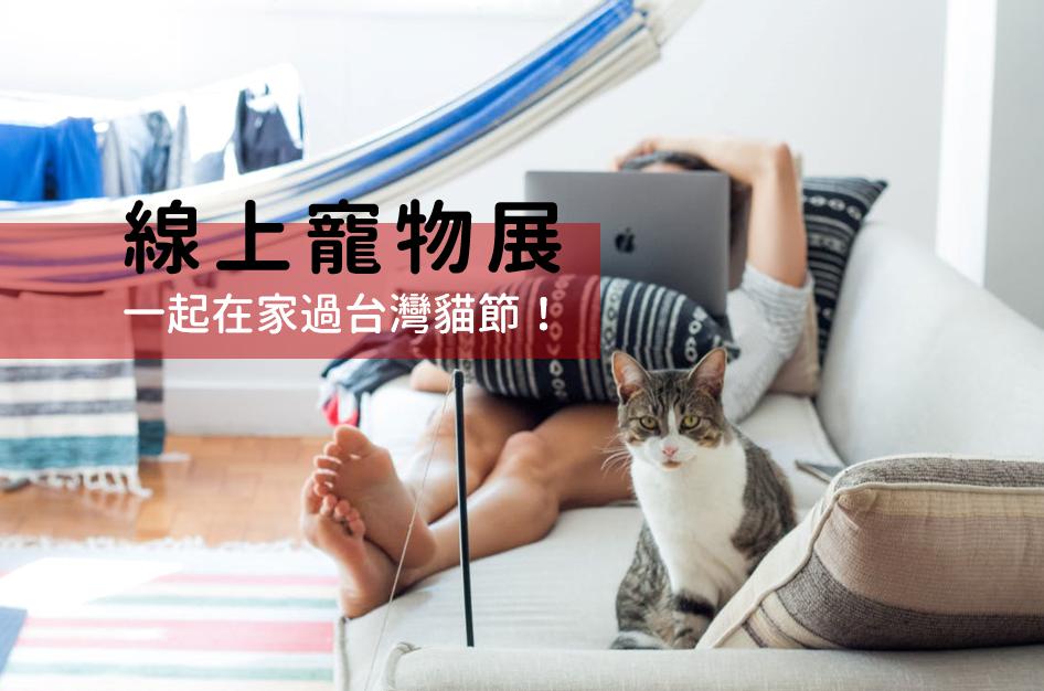 2022 在家逛線上寵物展！4/4 台灣貓節幫貓咪主子添購罐罐吧