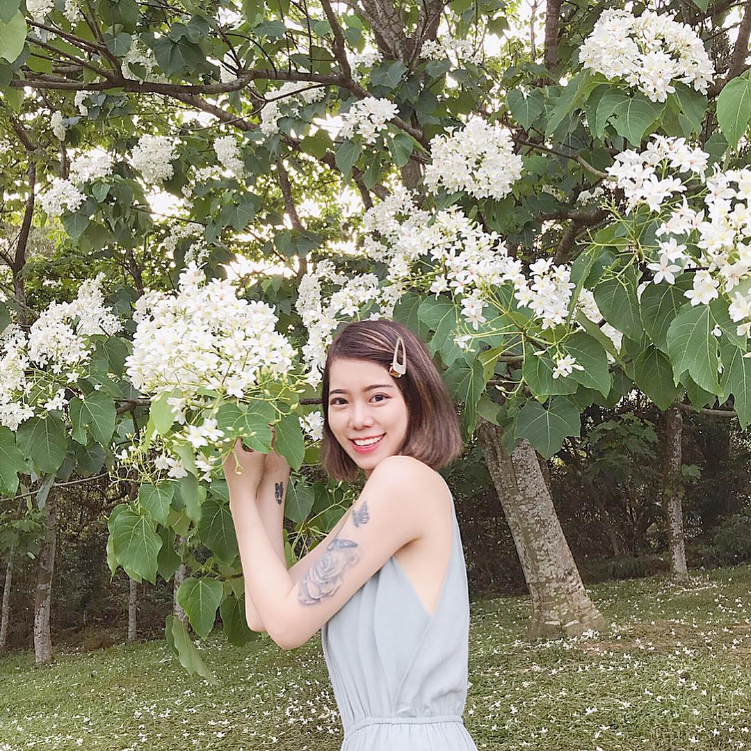 甘家堡桐花林