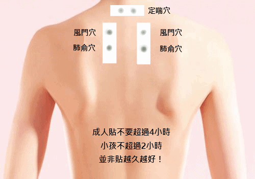 三伏貼怎麼貼