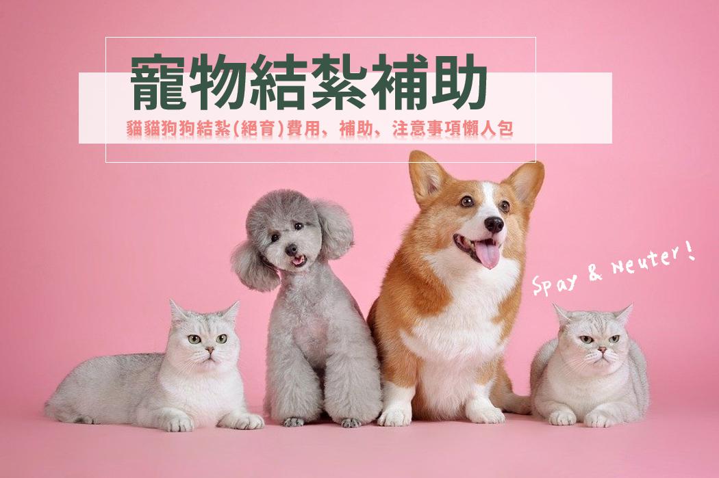 寵物結紮補助 2021貓咪狗狗結紮絕育補助費用 注意事項整理