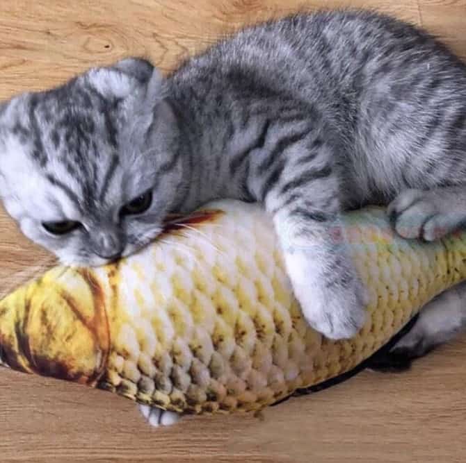 貓草魚抱枕