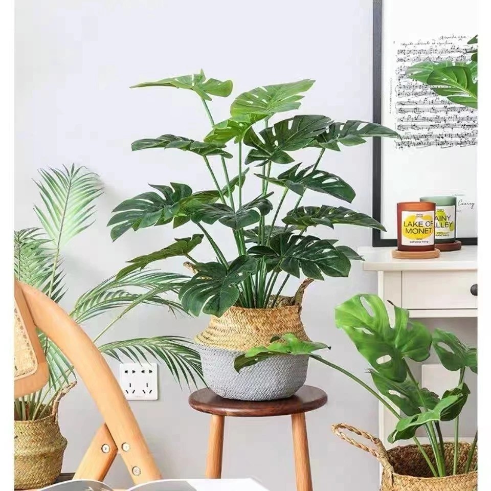 情人節禮物 植栽
